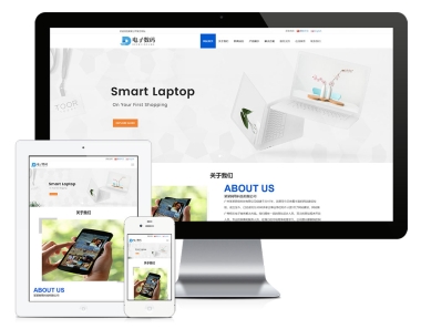 广州响应式数码产品双语网站建设