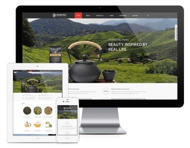 广州茶叶茶具外贸企业网站建设